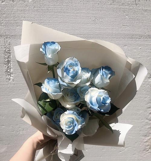 破冰蓝的花语有何寓意？代表什么情感？