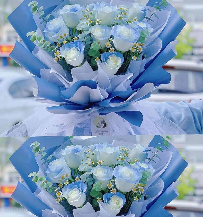 破冰蓝的花语有何寓意？代表什么情感？