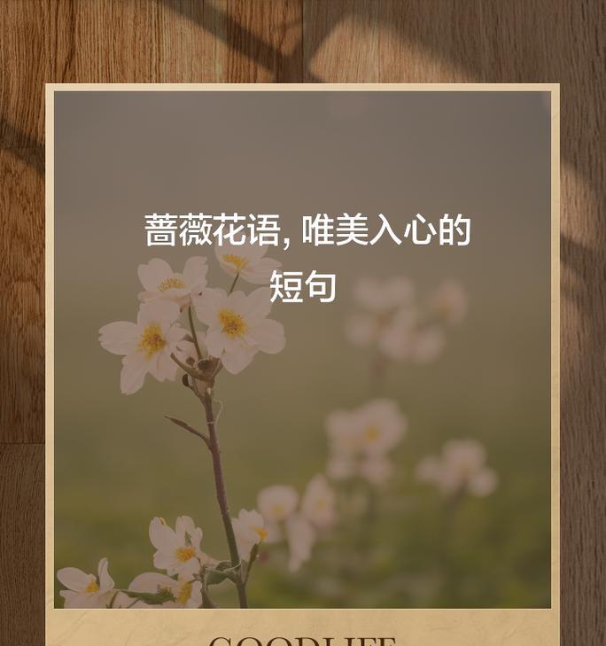 紫蔷薇的花语象征是什么？它有哪些寓意？