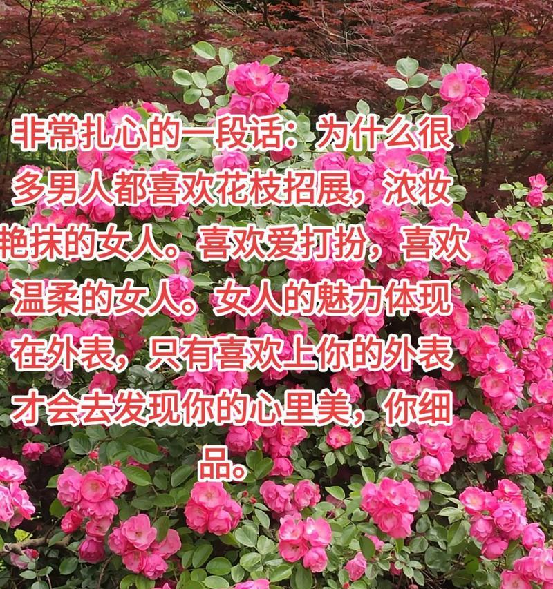 现代人如何通过花语表达情感？