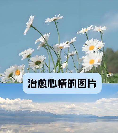 现代人如何通过花语表达情感？