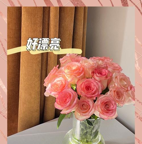 八朵爱莎代表了哪些情感？