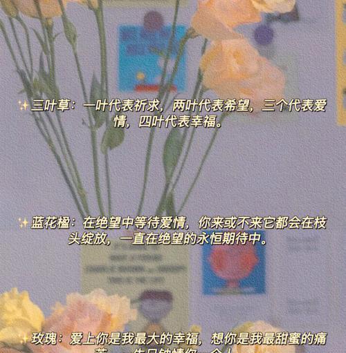 期待你的到来用什么花语表达？哪种花语最能传达期待之情？