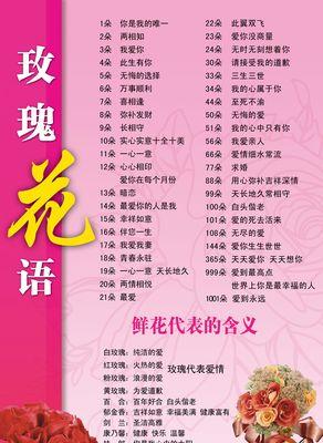 粉嫩玫瑰花的寓意是什么？花语又代表什么？