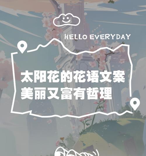 太阳花的花语有何不为人知的含义？