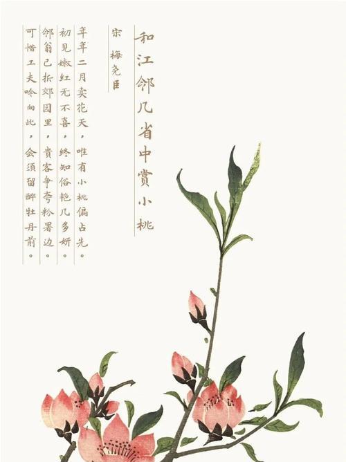 茶的花语名字背后有何寓意？
