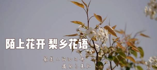陌上花语在网络用语中是什么意思？