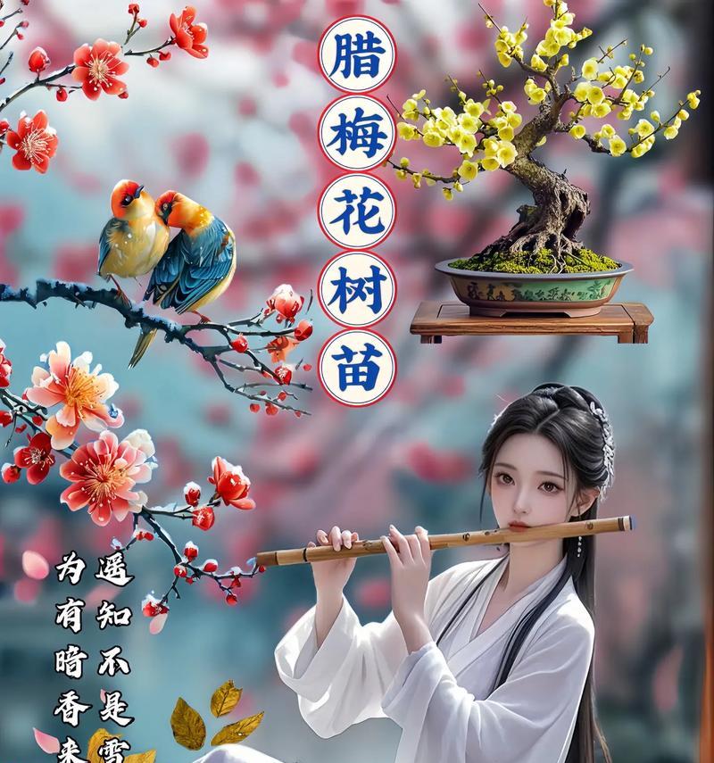 腊梅的花语含义是什么？腊梅象征着哪些特质？