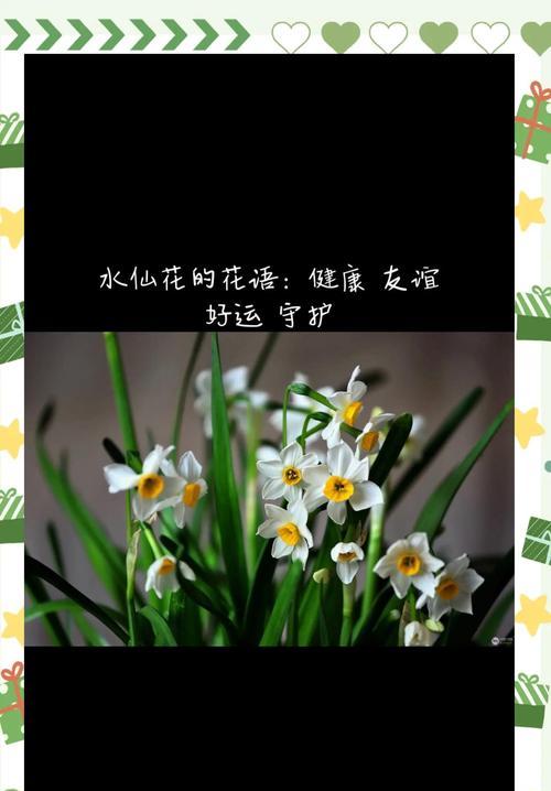 花语源于网络词语吗？花语与网络词语有何联系？