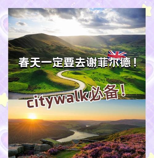 赠送谢菲尔德的玫瑰花代表什么？谢菲尔德玫瑰有何特殊意义？