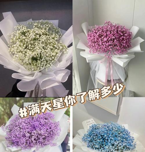 百合和满天星的花语是什么？它们各自代表了什么？