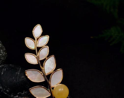 橄榄枝的花语是什么？橄榄枝象征着什么？