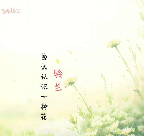 铃兰花语的意义和象征有何特别之处？