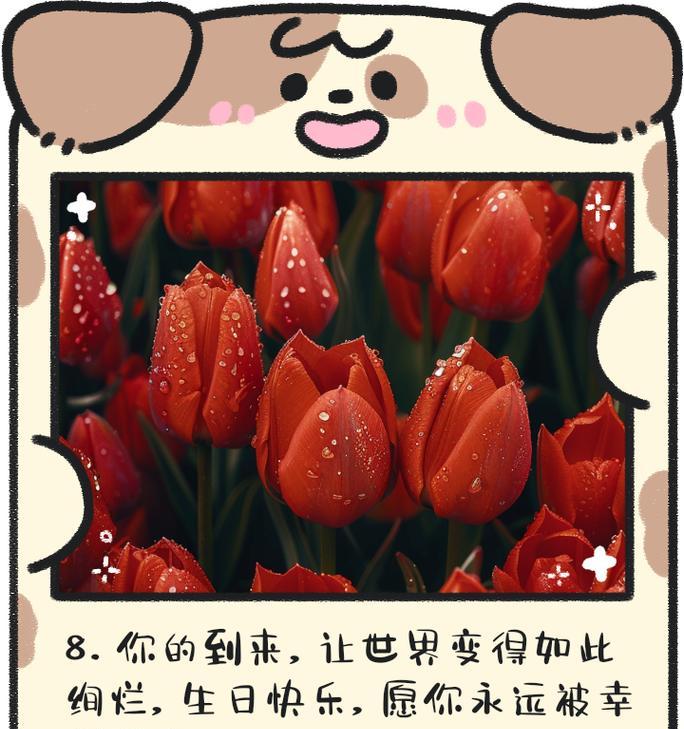 2月7日的生日花语有何特殊含义？