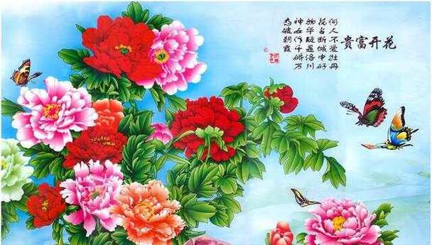 网络花语中的“波”字代表了什么？