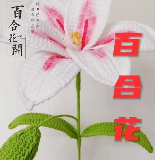 百合拼成的花语有何深意？百合拼成花语代表什么？