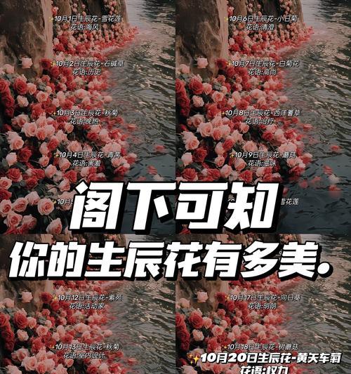 迎春草的寓意是什么？迎春草的花语有哪些？