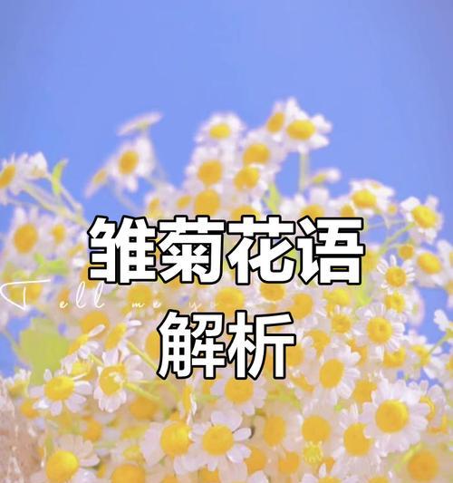 哪种花语代表抑郁症？花语如何表达内心的情感？