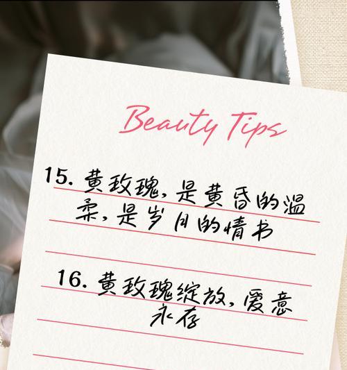 十七朵黄玫瑰代表了什么意义？
