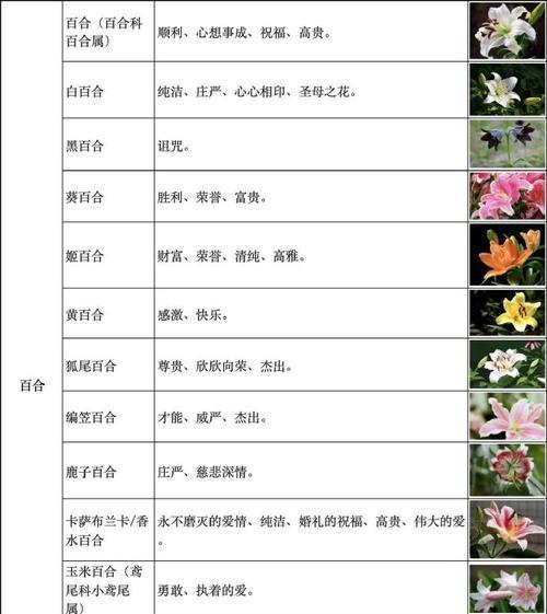 哪种花代表女性？它的花语有何寓意？