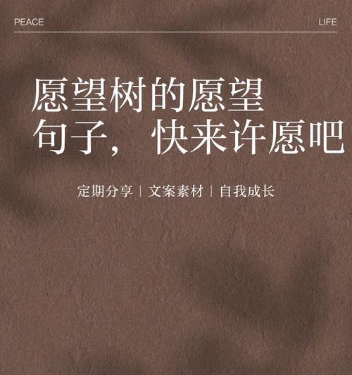 心愿先生的花语有何深意？