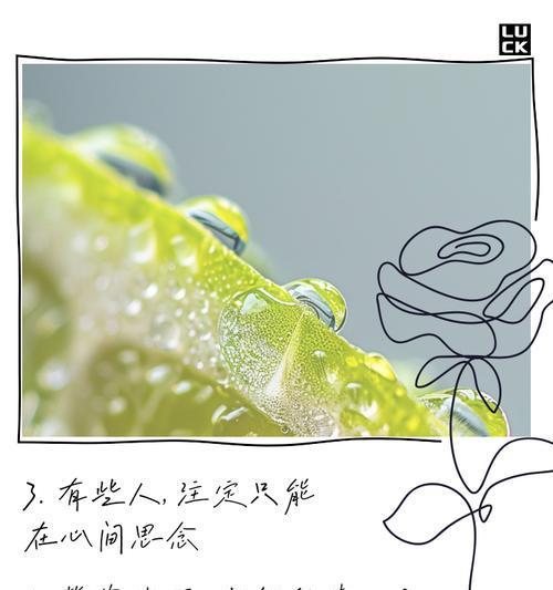 深沉花语通常表达什么情感？如何用花语表达深沉的情感？