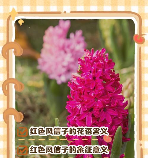 深沉花语通常表达什么情感？如何用花语表达深沉的情感？