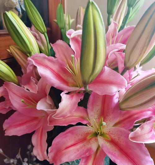 罗宾娜百合的花语含义是什么？