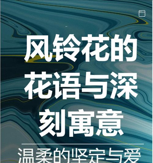 深情的花的花语和寓意是什么？它传递了怎样的情感？