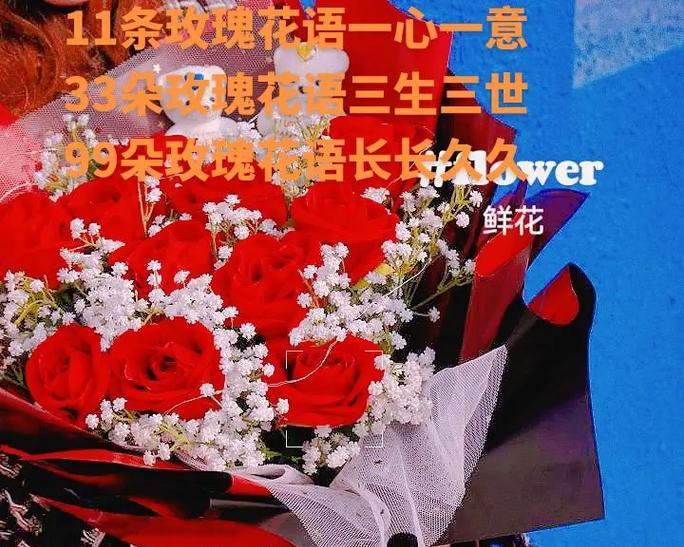 11朵红色玫瑰花的花语是什么？