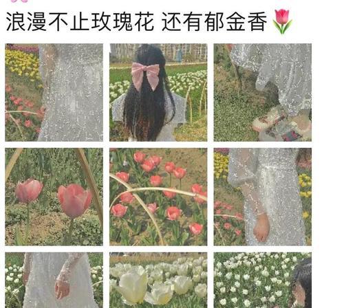 郁金香的友谊花语有何含义？