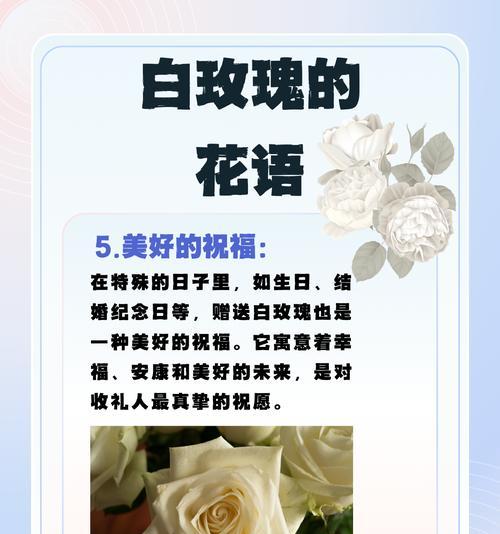 十月十三日生日的花语有何特别之处？