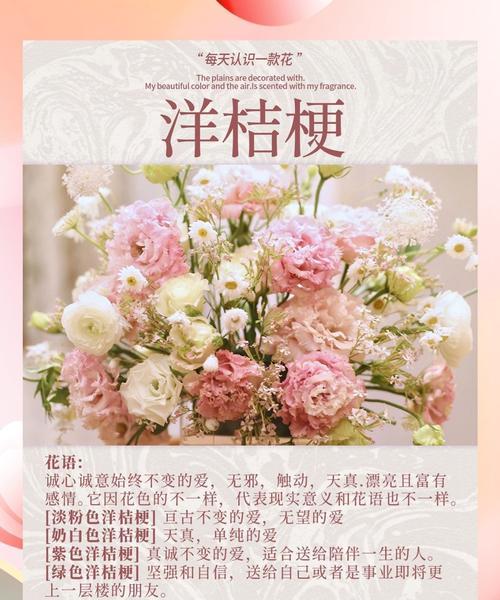 洋桔梗的花语有哪些？