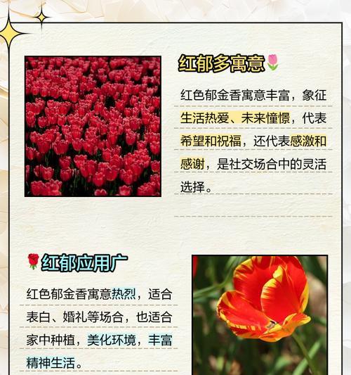 郁金香海棠的花语是什么？它代表了哪些情感？