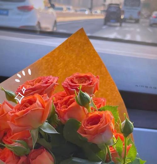 隐秘死角主角花语有何寓意？如何表达神秘的爱？