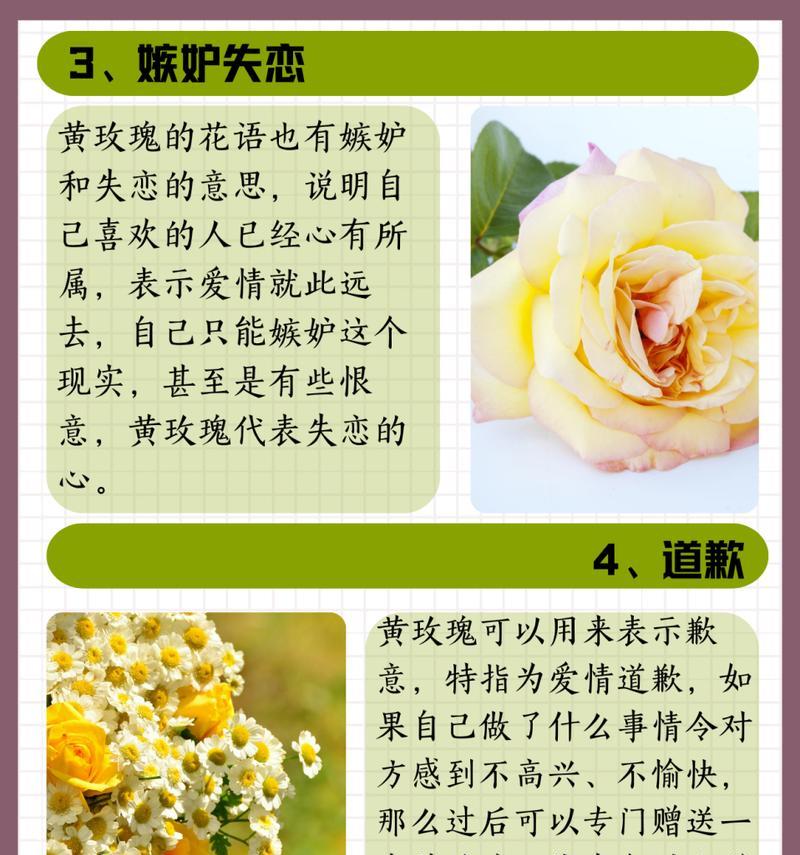 塑料玫瑰花颜色的花语有哪些？分别代表什么意义？