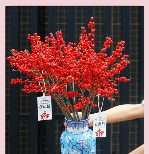玛瑙花的花语和寓意有何特别之处？它通常用来表达什么？