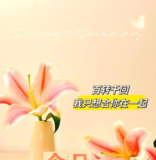百合花的隐晦花语有哪些含义？