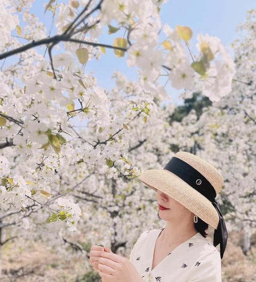 梨花的花语代表什么生肖？如何用梨花装饰家居？