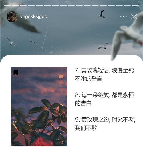 玫瑰花语中“永远不打折”有何深意？