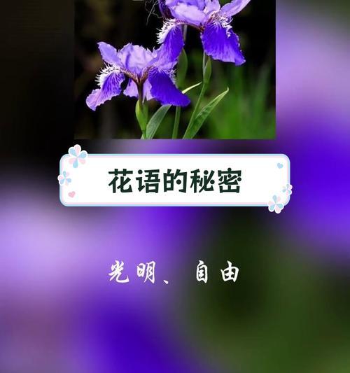 把花语串起来是什么意思？它在表达情感时有何作用？