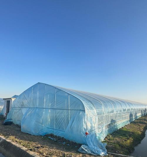 龙骨大棚种植技术要点有哪些？