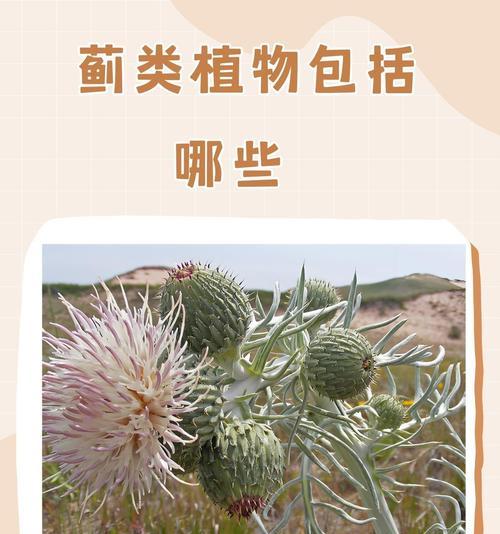 绿色植物护眼的知识资料有哪些形式？如何获取这些资料？