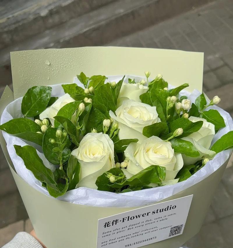 白玫瑰三年花期在哪些月份？