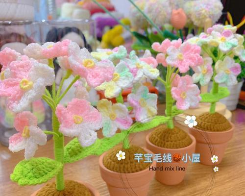 盆栽勿忘草种植方法是什么？种植时应注意什么？
