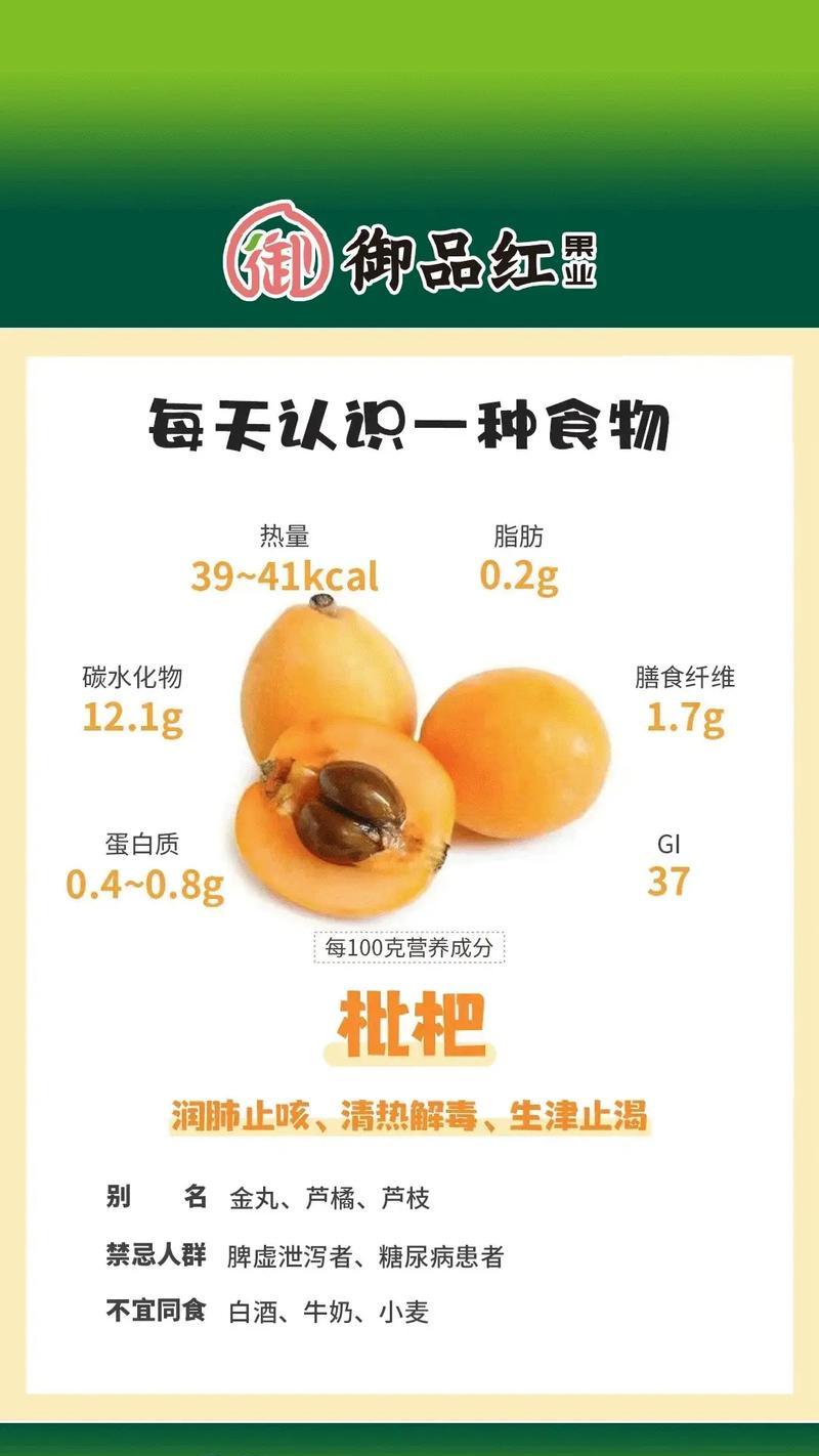 家乡枇杷的种植技术有哪些要点？