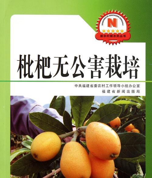 家乡枇杷的种植技术有哪些要点？