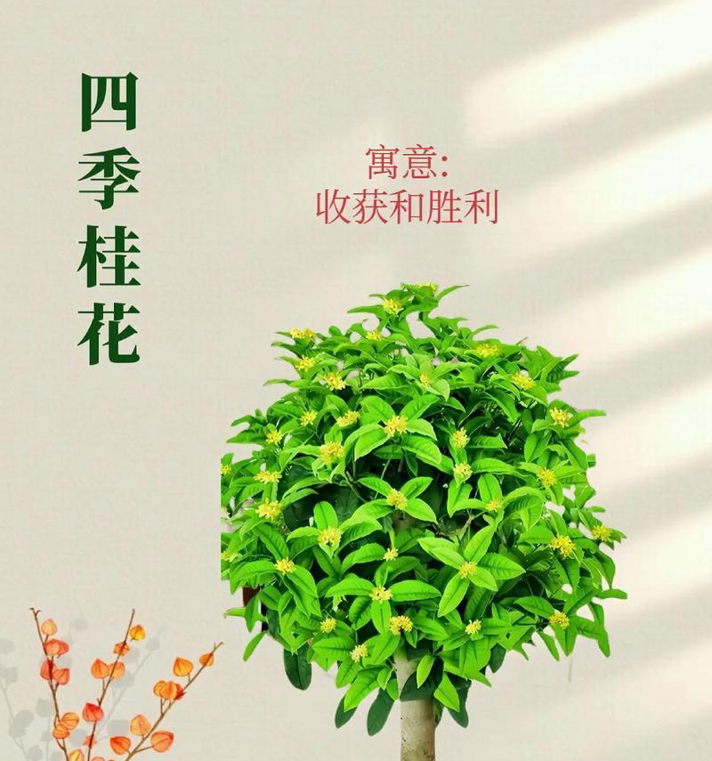 盆栽月月桂开完花要剪枝吗？剪枝的最佳时间是什么时候？