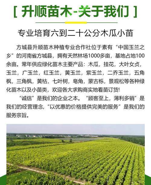 耐寒苗木如何管理？