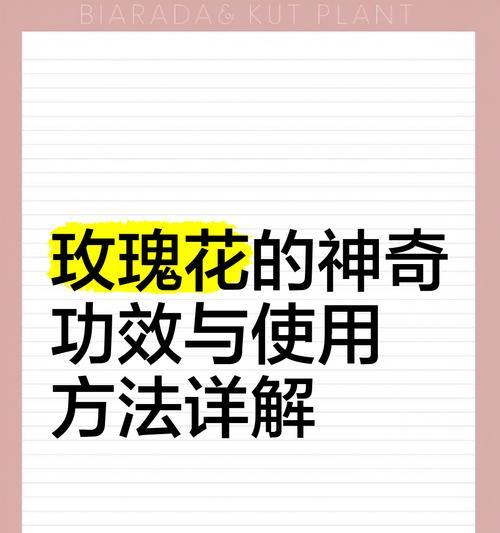 智利红玫瑰花的养殖方法和技术与管理要点？如何确保玫瑰花健康成长？